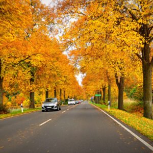 Tranh tráng gương con đường 289 - 459